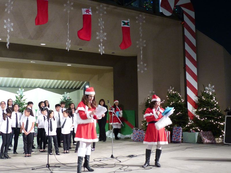 Holiday Snow Village 2015 14